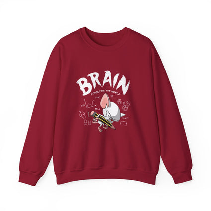 Pinky and the Brain World Domination Sweatshirt, Rodent Lover Gift, Funny Animal Sweater, Cute Mice Jumper, Geeky Graphic Pullover